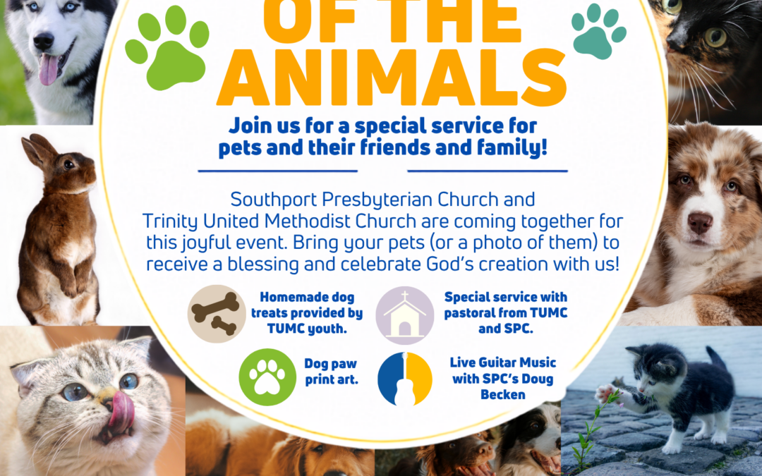 Blessing of the Animals Returns to Franklin Square Park